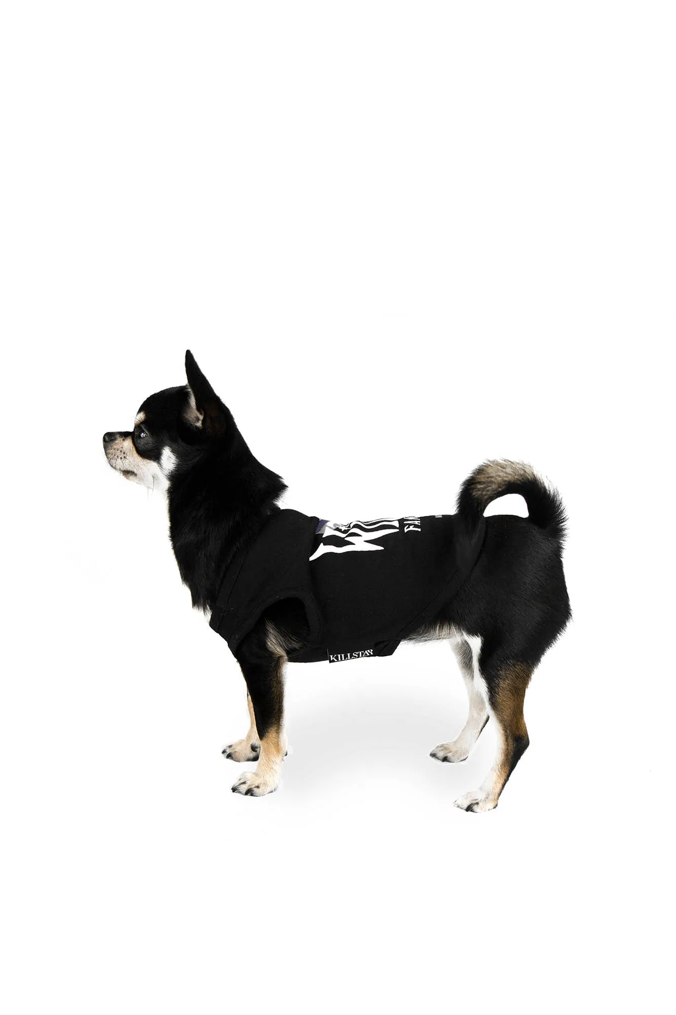 Familiar Dog Vest