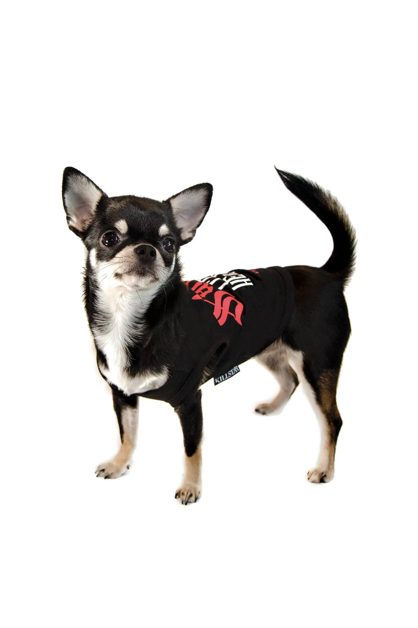 Little Helper Dog Vest